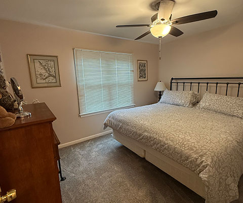 Professional Cleaning Services