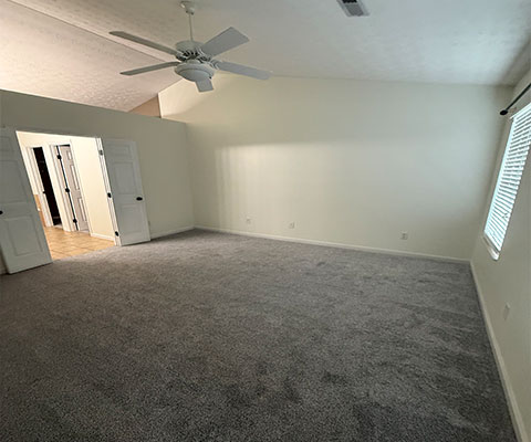 Professional Cleaning Services
