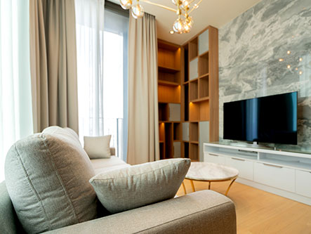 Professional Cleaning Services