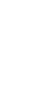 Professional Cleaning Services